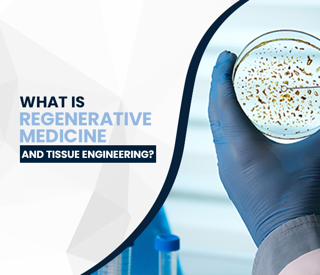 What is Regenerative Medicine and Tissue Engineering?